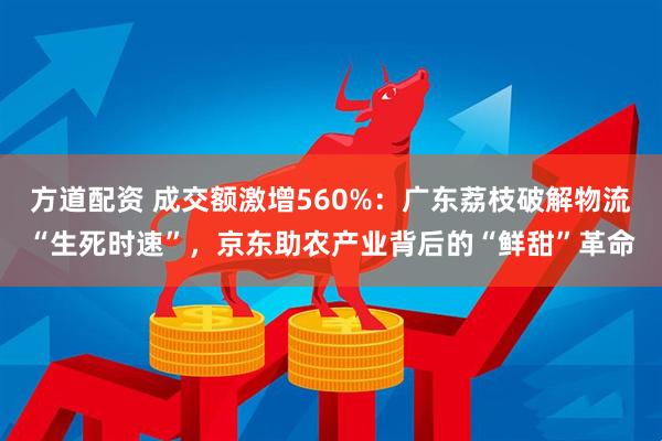 方道配资 成交额激增560%：广东荔枝破解物流“生死时速”，京东助农产业背后的“鲜甜”革命