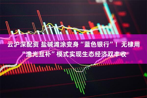 云沪深配资 盐碱滩涂变身“蓝色银行”！无棣用“渔光互补”模式实现生态经济双丰收